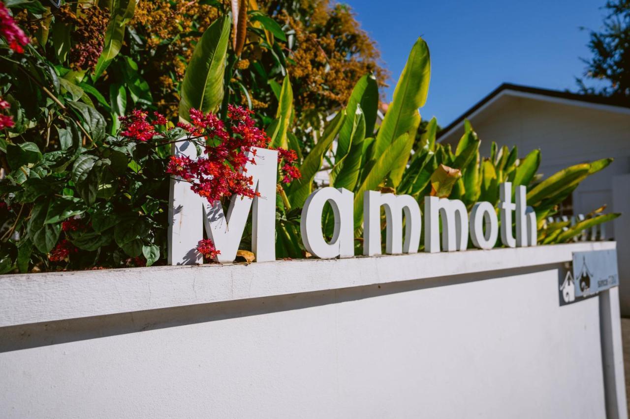 Mammoth Boutique Hotel Chiang Mai Exterior foto